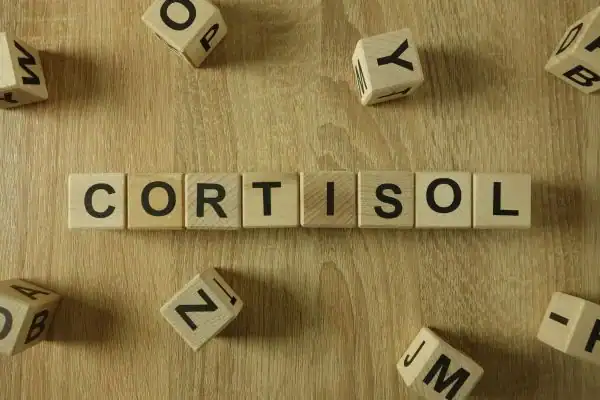 The Hidden Connection: How Stress Shapes Your Fitness and Body Composition 2 Image saying "Cortisol" and how stress Hampton impacts your wellbeing and bodies shape